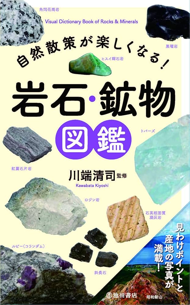 自然散策が楽しくなる! 岩石・鉱物図鑑 | 川端 清司 |本 | 通販 | Amazon