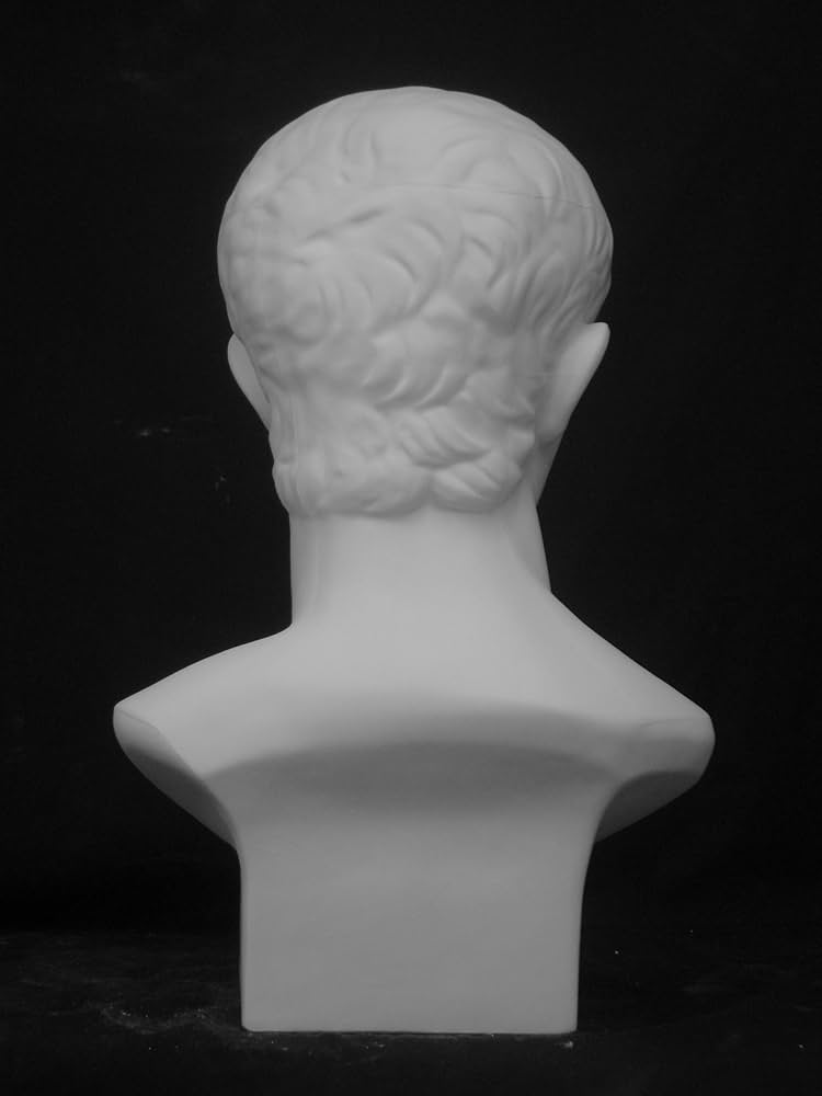 819E4pxvd5L._AC_UF894,