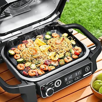 Amazon.com: GRISUN Cast Iron Griddle XSKGRDPLT for Ninja Woodfire
