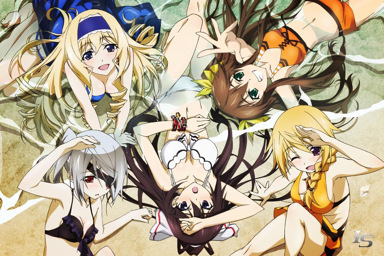 Amazon.co.jp: インフィニット・ストラトス もふもふビッグタオル 水着