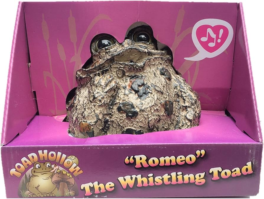 Amazon.com : Toad Hollow 