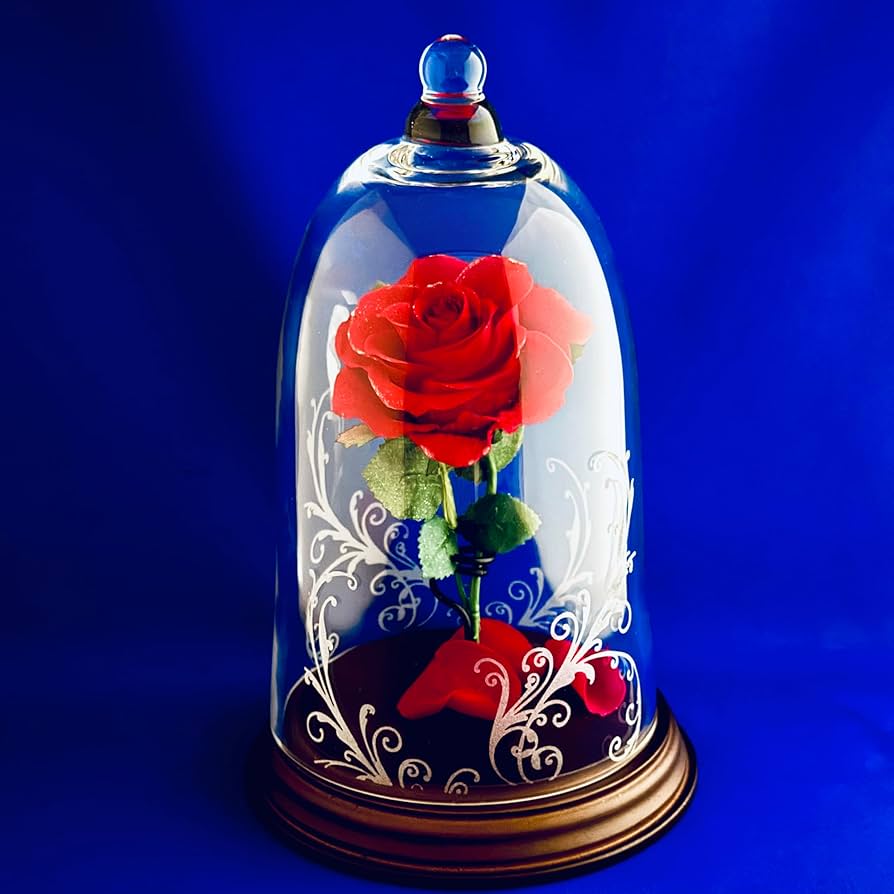 Amazon｜プリザーブドフラワー 赤いバラ 美女と野獣 ガラスドーム入り