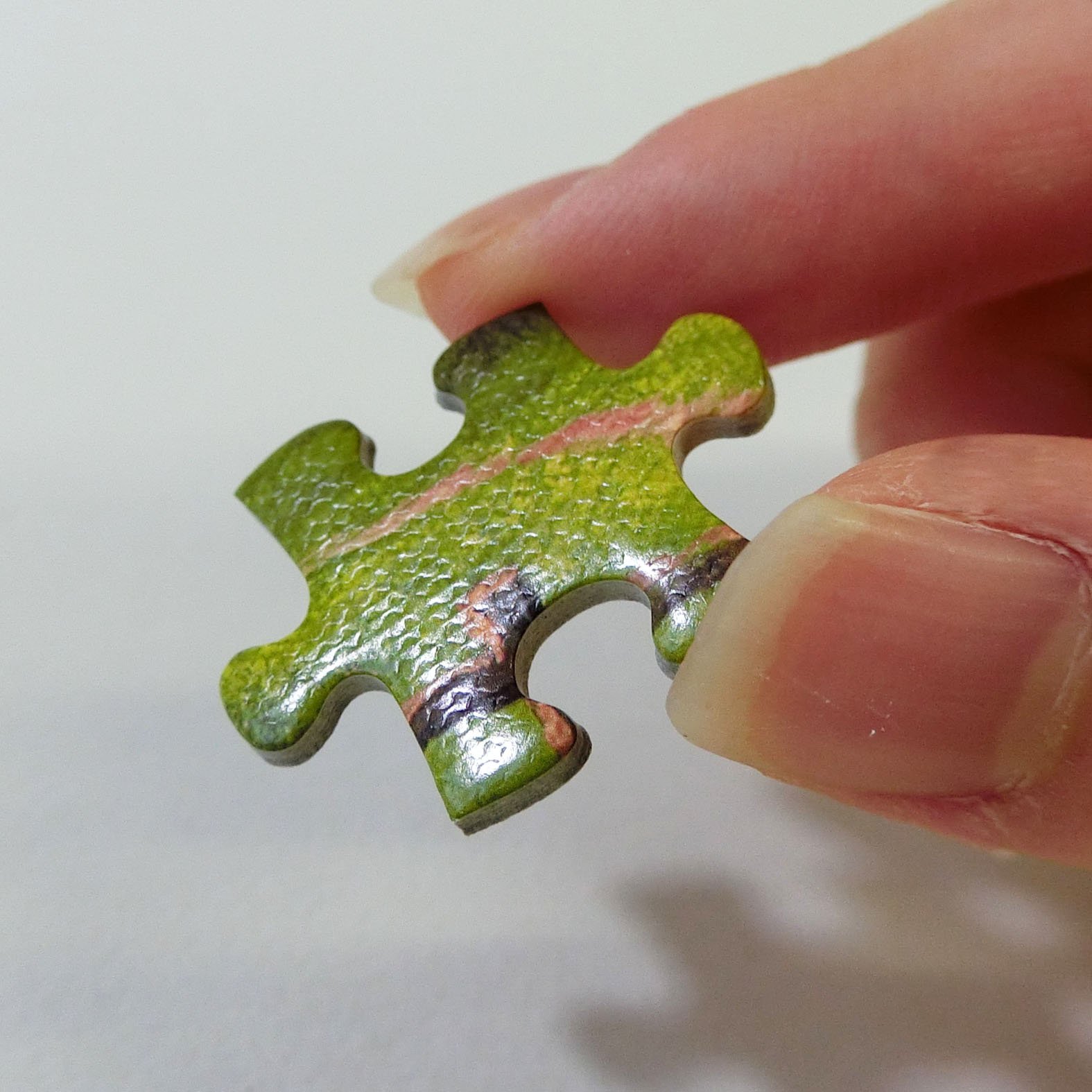 Amazon | 【日本製】 1000ピース ジグソーパズル シチリアの花咲く