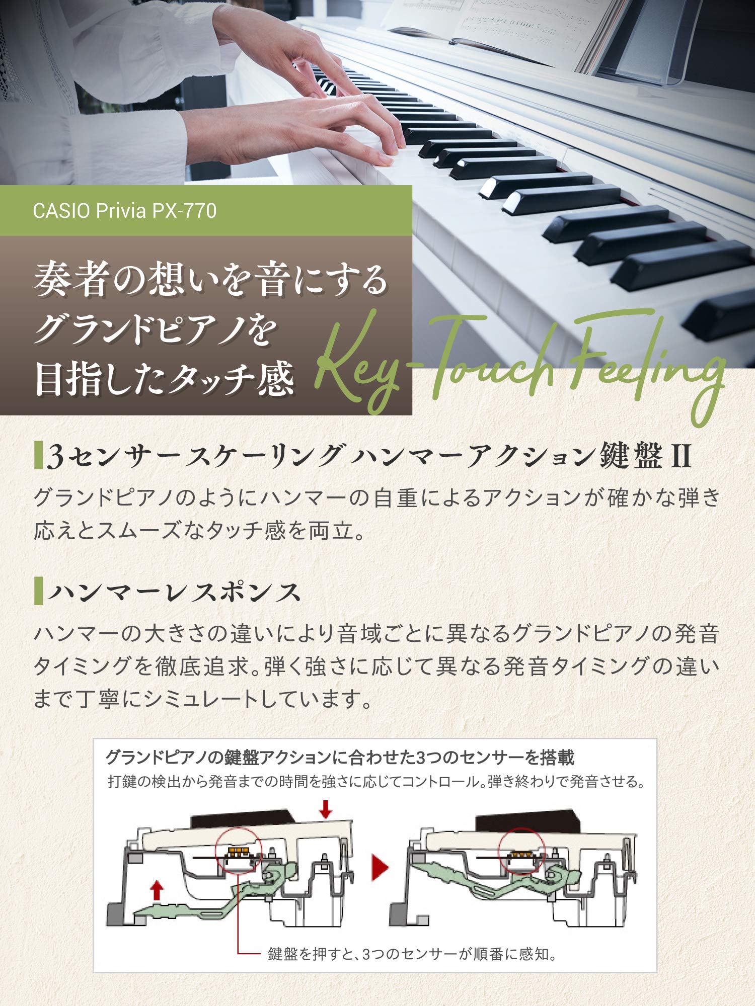 Amazon | CASIO(カシオ) 88鍵盤 電子ピアノ Privia PX-770BN オーク