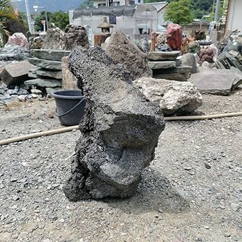 Amazon.co.jp: 富士 溶岩石 48キロ 庭石 鑑賞石 石 庭 ガーデニング