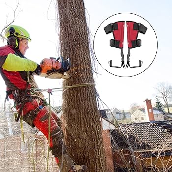 81tsMvNRi1L._AC_UF350,