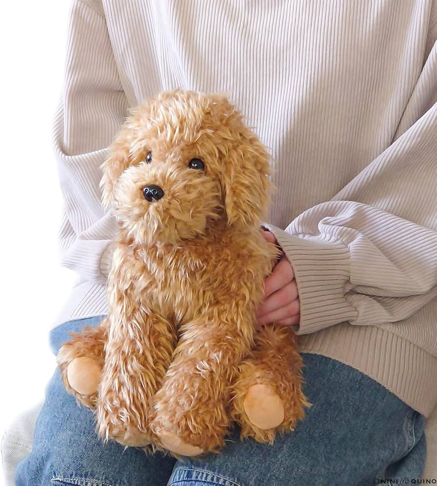 81u-qvX+RnL._AC_UF894,