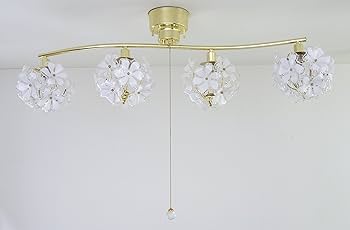 81u8h3Sd8uL._AC_UF350,