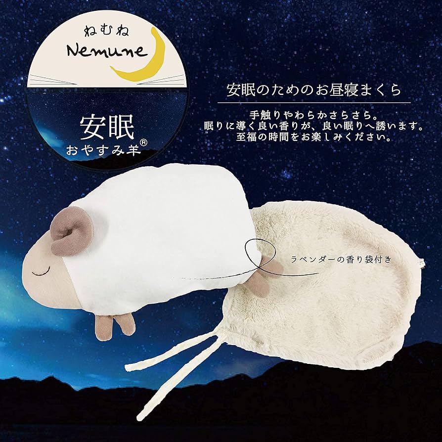 81uK5ztL7UL._AC_UF894,