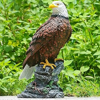 Amazon | 猛禽類最強 鷲 ワシ 鷹 置物 ミスターイーグル 防鳥 害鳥 庭