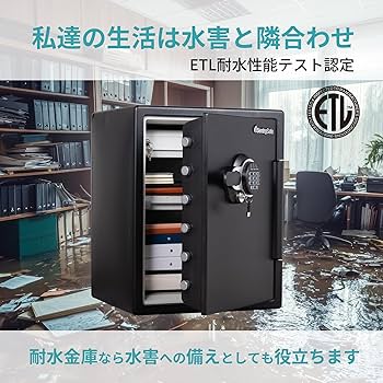 Amazon｜SENTRY (セントリー) 1時間耐火・耐水金庫 56.6L A4ファイル
