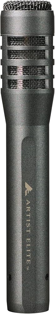 Amazon.com: Audio-Technica AE5100 Cardioid Condenser Instrument