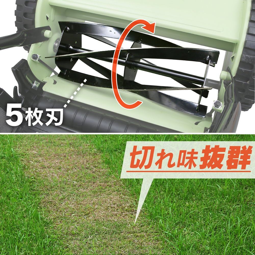 81ujnu8zbFL._AC_UF1000,