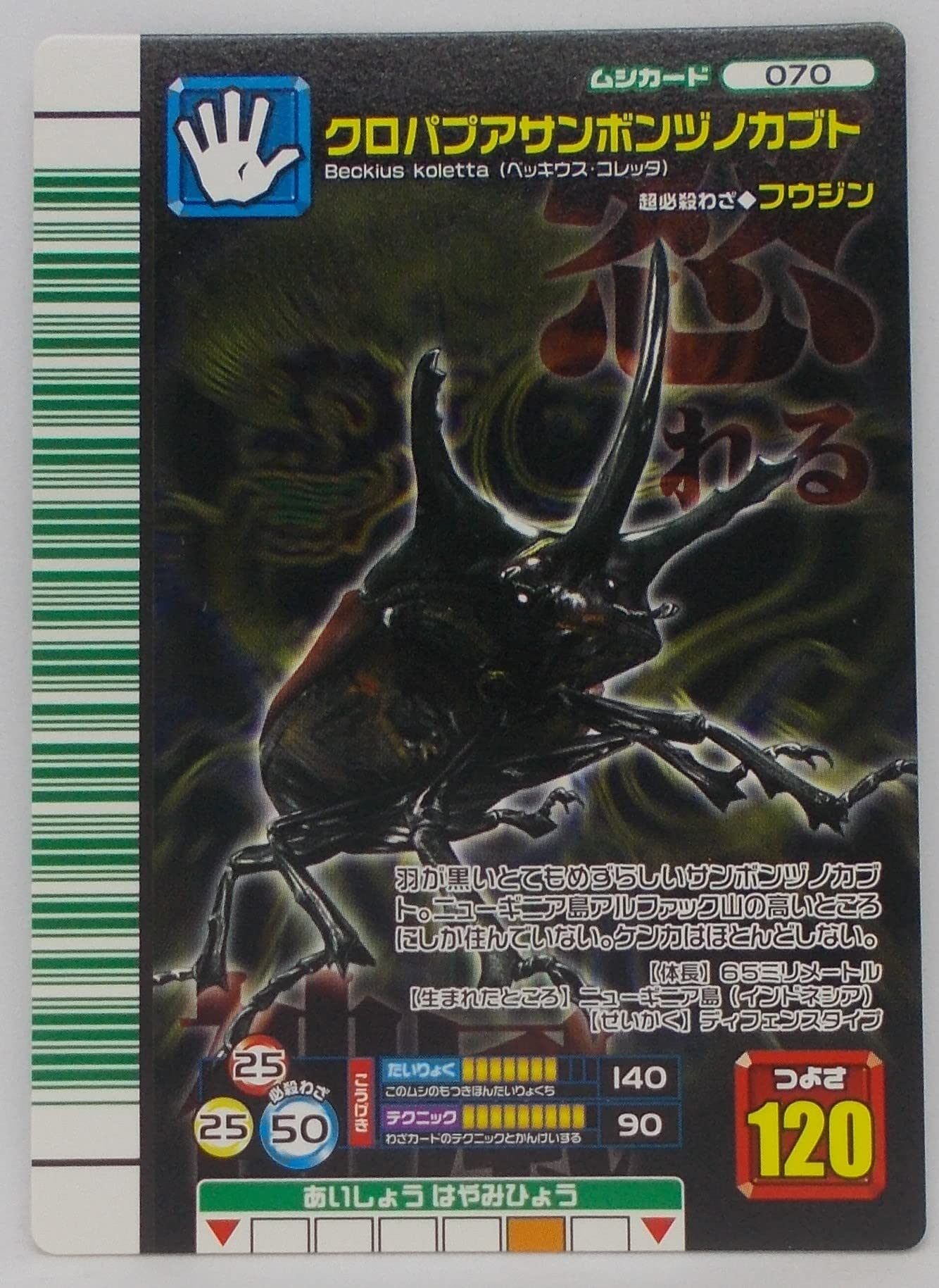 Amazon.co.jp: 【070-2007 ファースト】クロパプアサンボンヅノカブト