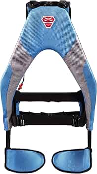 81vNCniDH1L._AC_UF350,