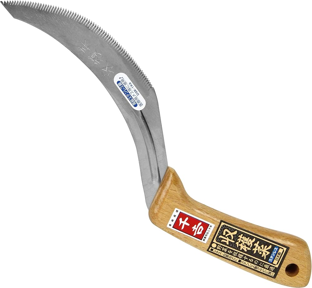 Amazon | 千吉(Senkichi) 収穫菜 ステンレス製 レタス・白菜等の収穫用