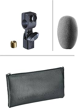 Amazon.com: Audio-Technica AE5100 Cardioid Condenser Instrument