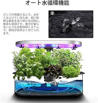 Amazon | JustSmart 水耕栽培キット 室内 水耕栽培 おしゃれ 家庭菜園