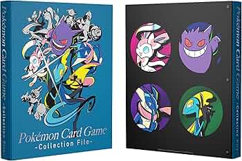 81wq0IE0P1L._AC_UF350,