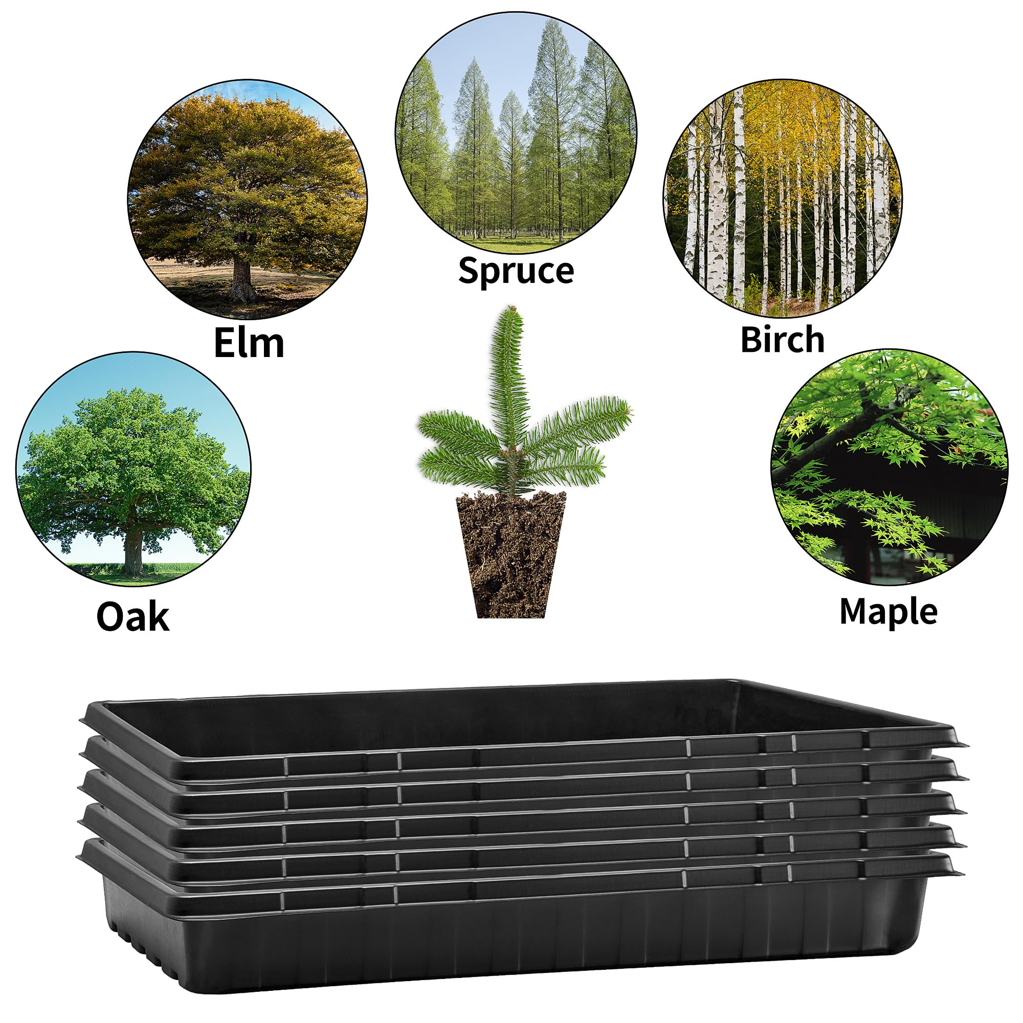 Amazon.co.jp: 10個 20×10インチ 植物栽培トレイ 排水穴付き