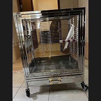 Amazon | 50*40*60CM 304ステンレス鋼 鳥かご 前面強化ガラス とりかご