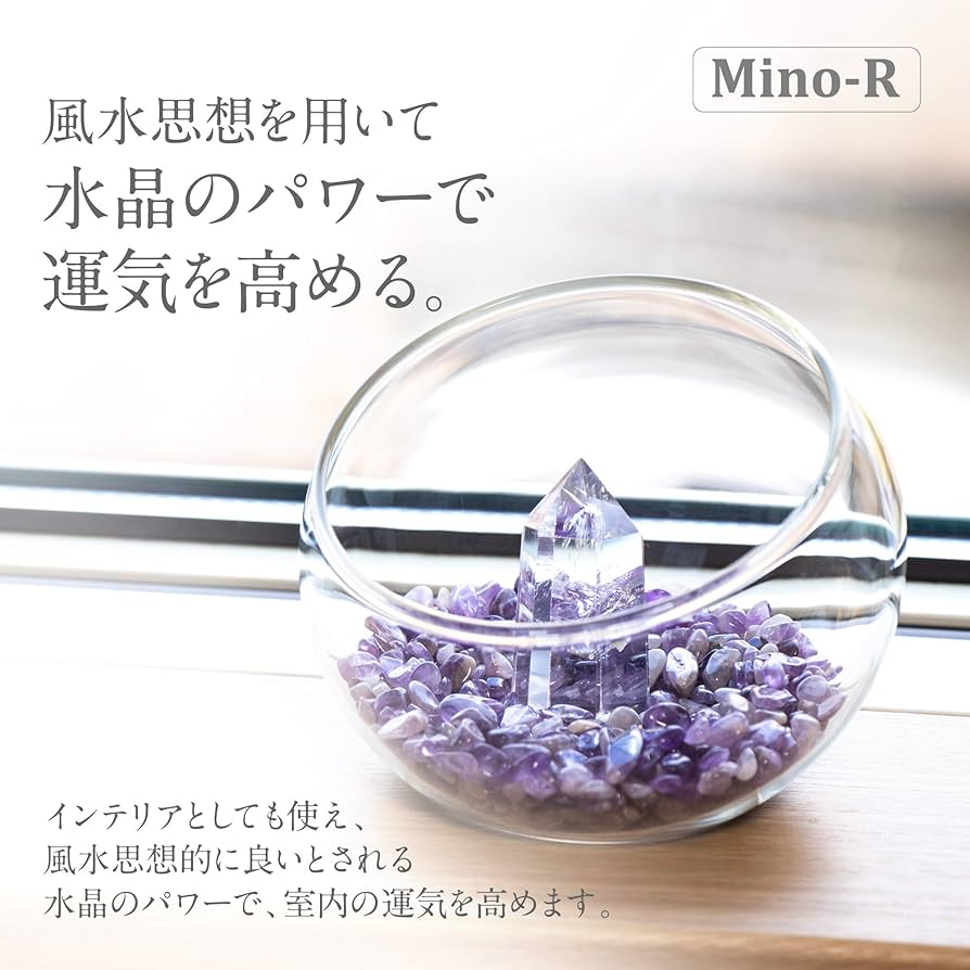 81xqWujk6dL._AC_UF894,