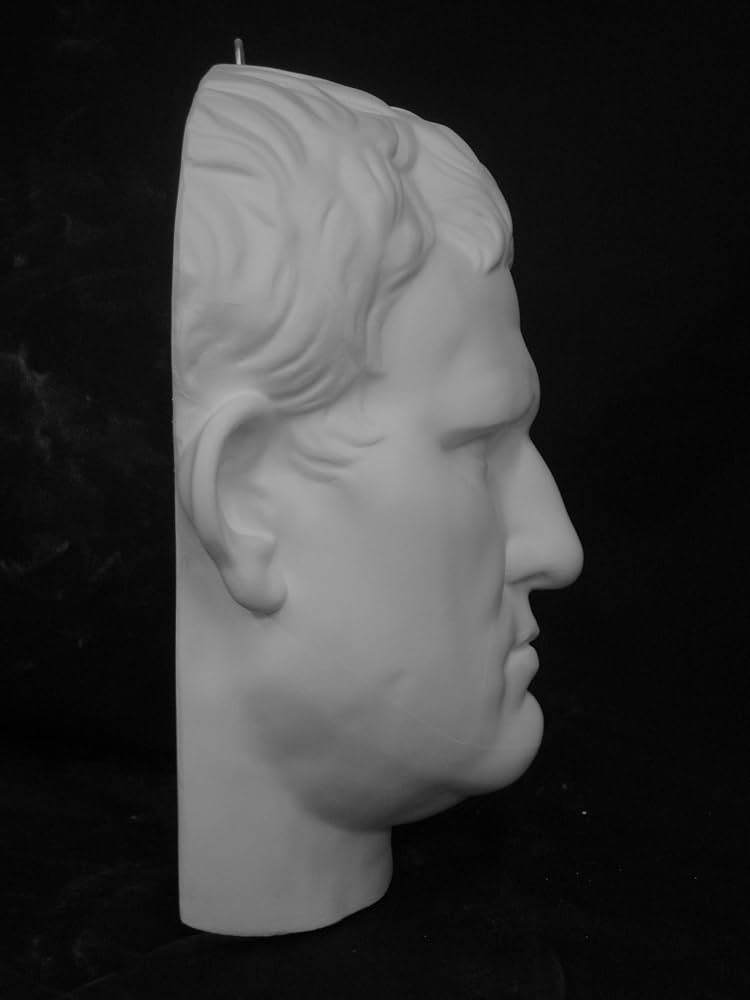 Amazon.co.jp: 石膏像 M－420 アグリッパ半面（丸） H．33cm