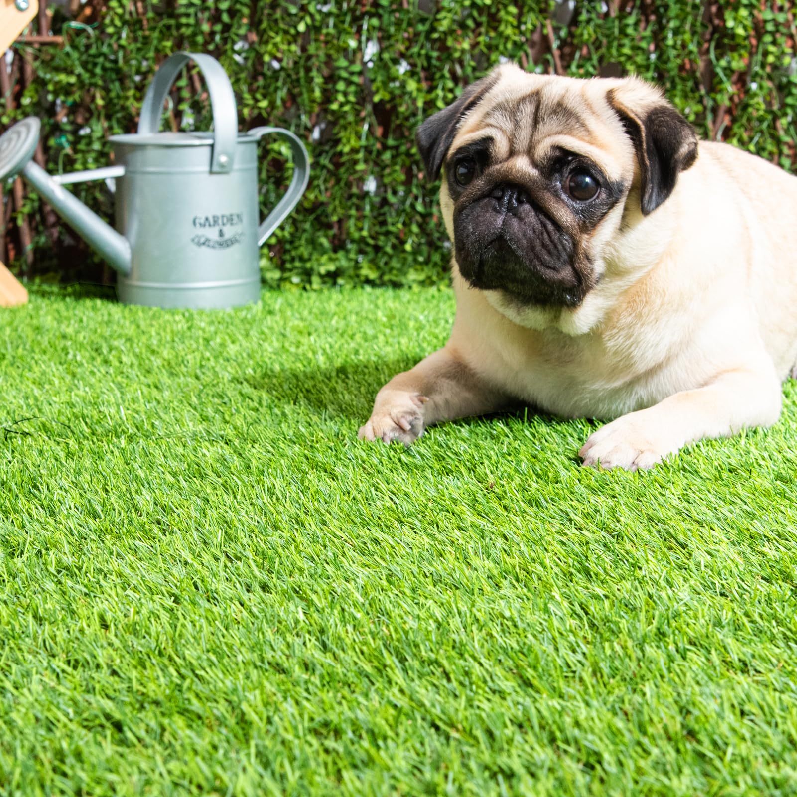 Amazon | タンスのゲン 人工芝 0.5×10m 芝丈20mm 高耐久 超高密度 47万