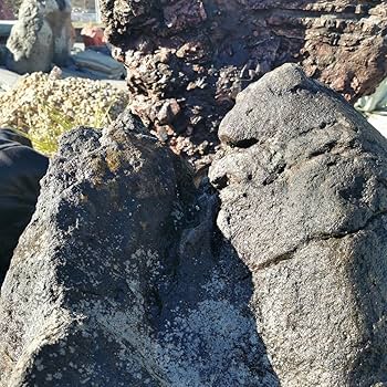 Amazon.co.jp: 鳥海石408キロ庭石鑑賞石石盆石水石灯籠庭坪庭盆栽