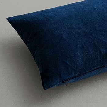 Amazon.com: MIULEE 20x20 Inch Velvet Throw Pillow Covers, Pack of