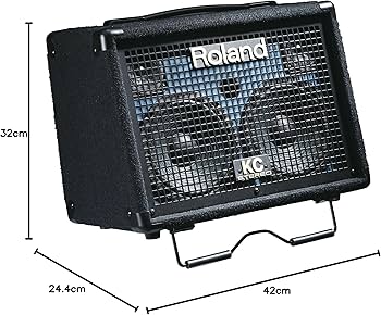 Amazon | Roland ステレオ・キーボード・アンプ KC-110 | キーボード