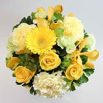 81ADLiyj2HL._AC_UF350,