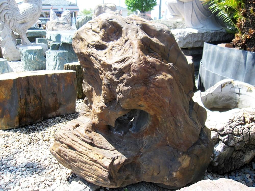 Amazon | 木化石 031 珪化木 庭石 | ガーデンオーナメント・置物