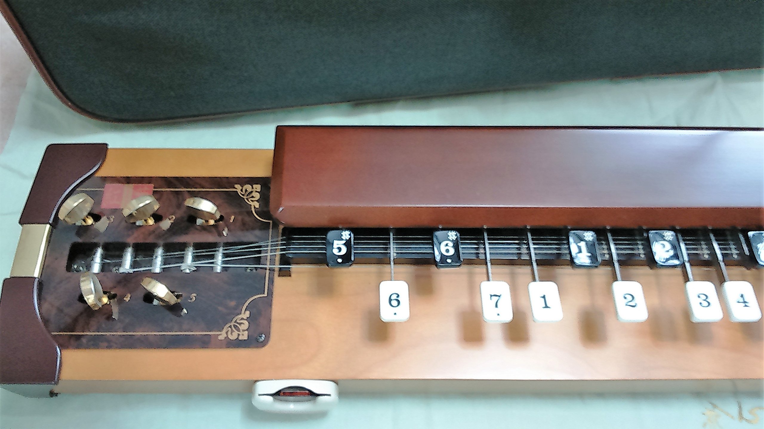 Amazon | SUZUKI 紅葉/もみじ 電気大正琴 | 大正琴 | 楽器・音響機器