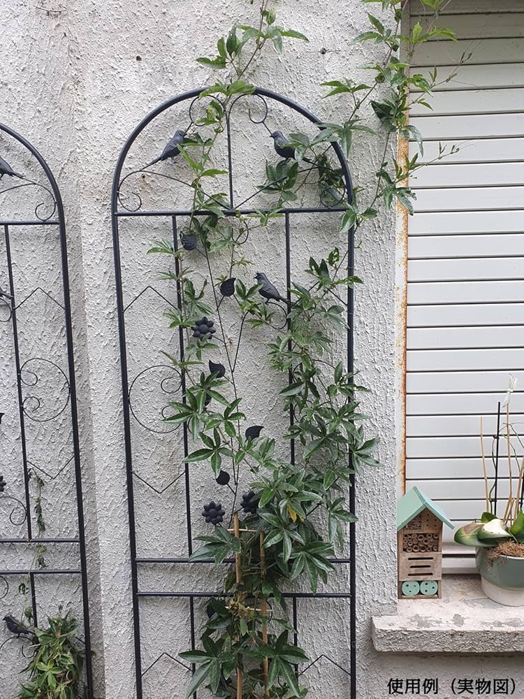 Amazon | Wisfor バラ トレリス ガーデンフェンス アイアン 柵 目隠し