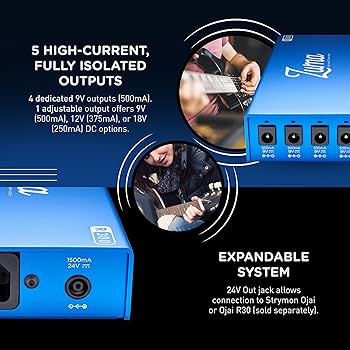 Amazon.com: Strymon Zuma R300 Expandable Guitar Effects Pedal