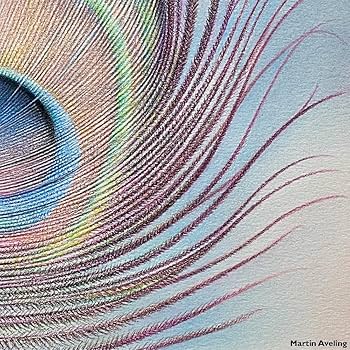 Amazon | Derwent ダーウェント 色鉛筆 パステルペンシル 72色セット