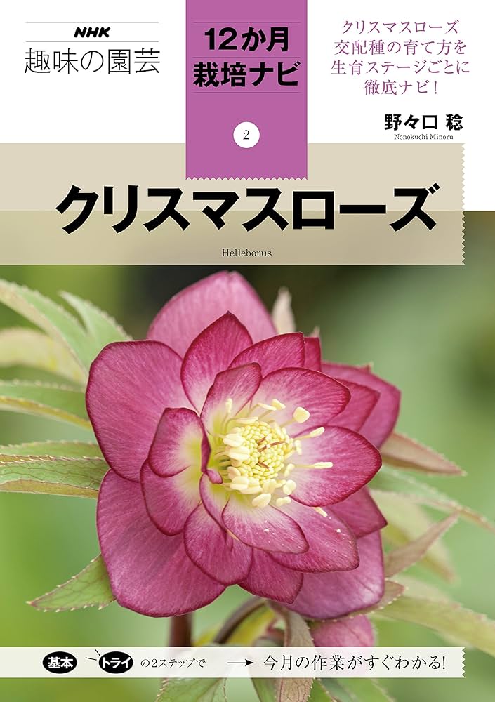 クリスマスローズ (NHK趣味の園芸12か月栽培ナビ(2)) | 野々口 稔 |本