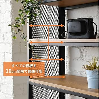 81DuPBIu4GL._AC_UF350,