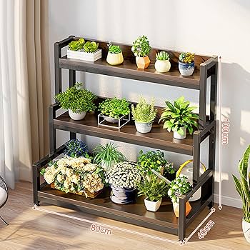 Amazon.co.jp: 室内植木棚、大きな植木棚階層植物棚、室内外植木鉢展示