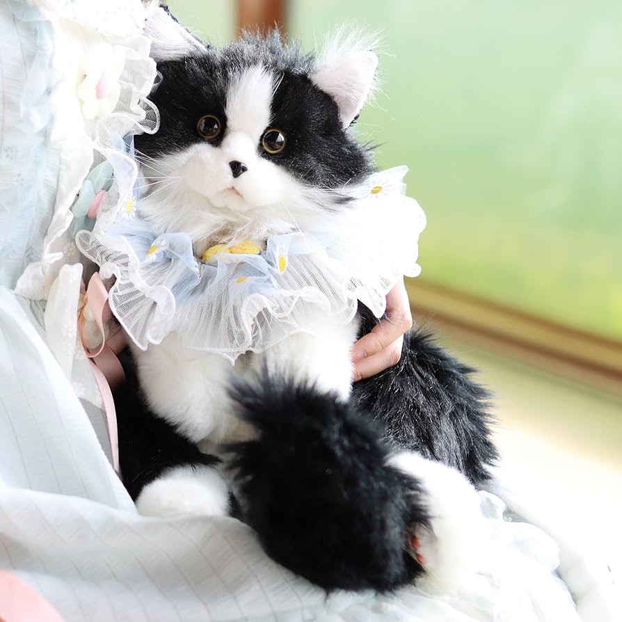 81DzOH-Hq0L._AC_UF894,