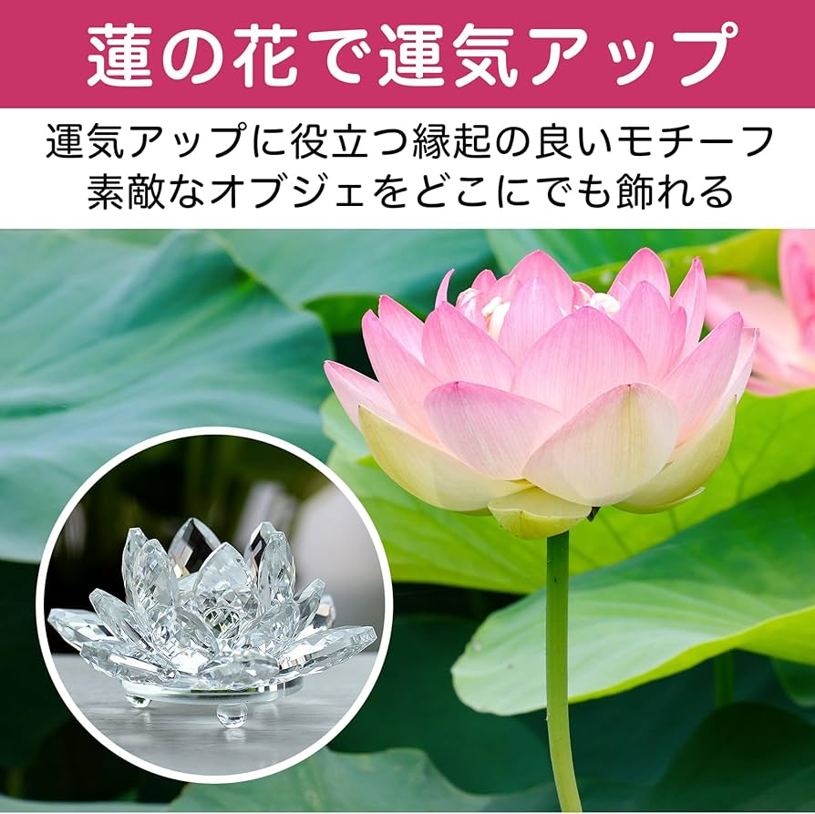 Amazon.co.jp: HAMILO 蓮の花 クリスタルオブジェ 風水 ロータス 開運