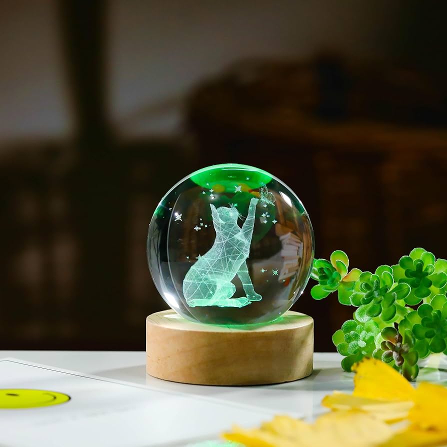 81EDbOzHkfL._AC_UF894,