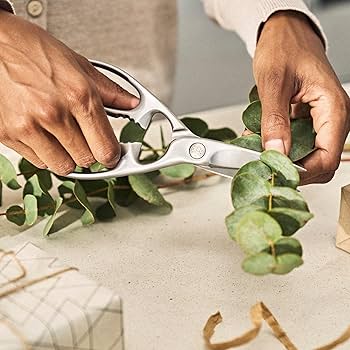 Amazon.com: ZWILLING TWIN Select Stainless Steel Kitchen Shears