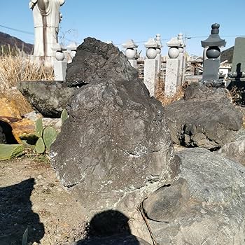 Amazon.co.jp: 浅間溶岩石166キロ庭石鑑賞石石盆石水石灯籠庭坪庭盆栽