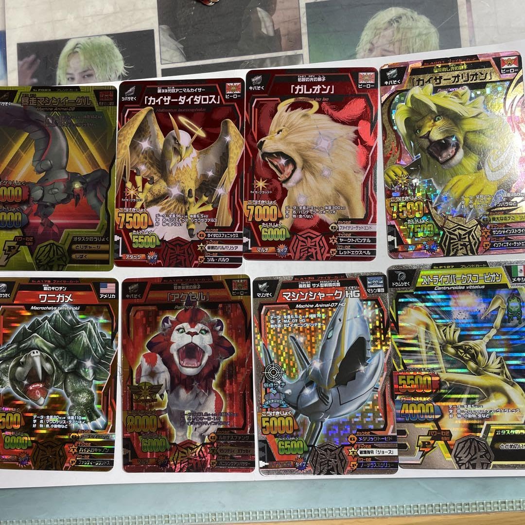 Amazon.co.jp: アニマルカイザーカード : ホビー