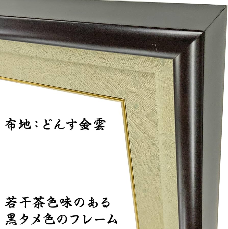 Amazon.co.jp: 封筒も飾れる位記/叙位叙勲額 GT24 UVカット強化型