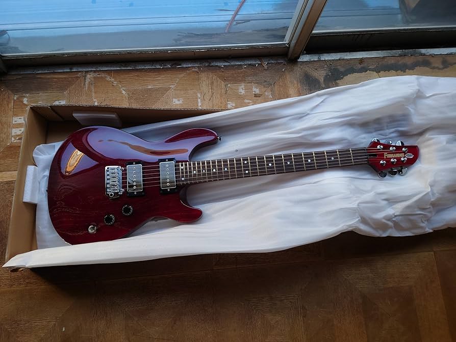 Amazon | FERNANDES エレキギター APG-DLX JPC 2011 DR | エレキギター