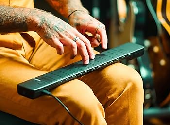 Amazon | Artiphon Chorda シンセサイザー ルーパー機能 サンプラー