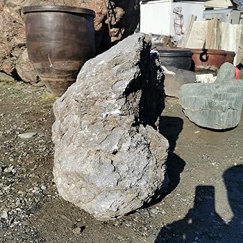 Amazon.co.jp: 石灰岩294キロ庭石鑑賞石石盆石水石灯籠庭坪庭盆栽